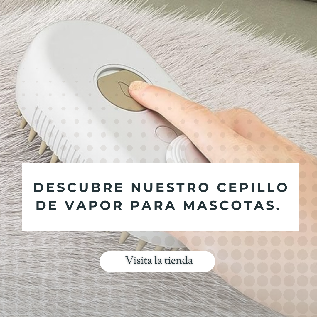Cepillo Masajeador con Vapor 3 En 1 para Mascotas