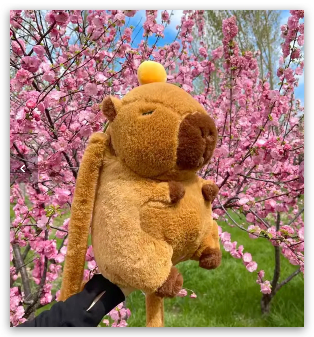 Mochila Peluche Felpa Kawaii Capibara