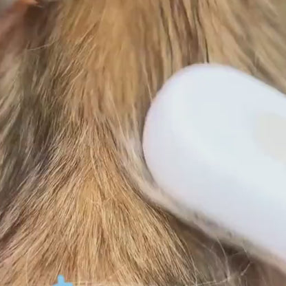 Cepillo Masajeador con Vapor 3 En 1 para Mascotas